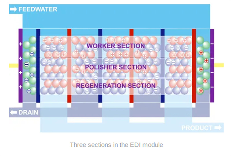 EDI11